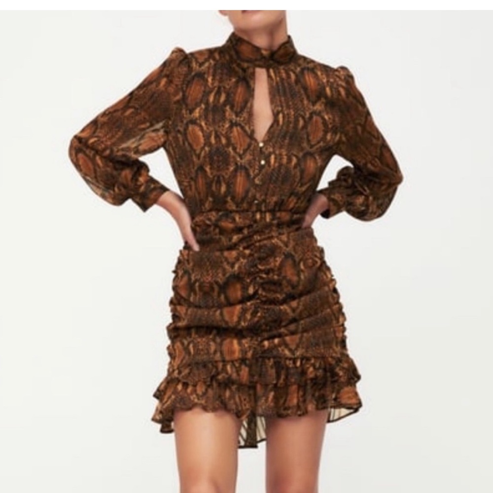 Zara Ruched Animal Snake Print Mini Dress XS
